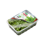 گشنیز بسته بندی